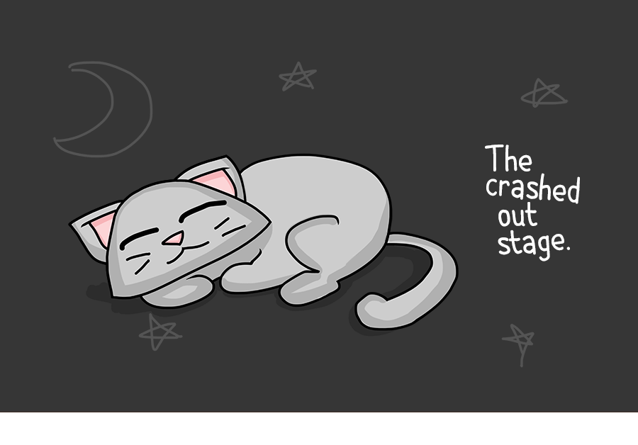 Cats On Catnip: I Illustrated The 7 Stages They Go Through