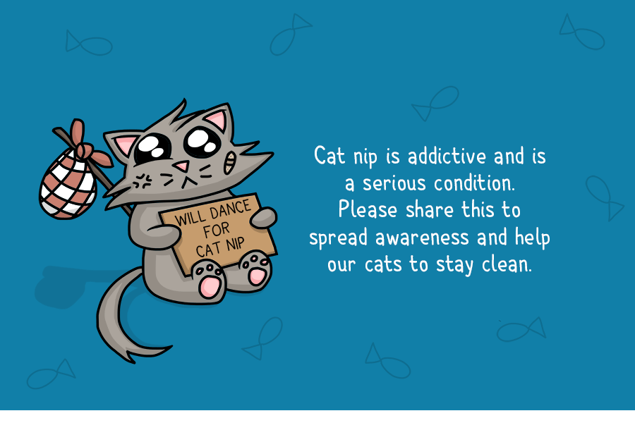 Cats On Catnip: I Illustrated The 7 Stages They Go Through