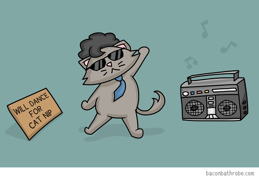 Cats On Catnip: I Illustrated The 7 Stages They Go Through