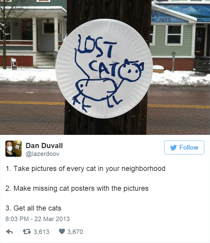 Funny Cat Tweets