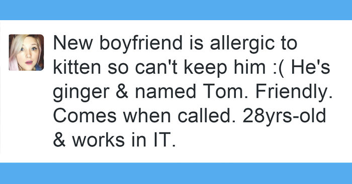 33 Funny Tweets About Cats