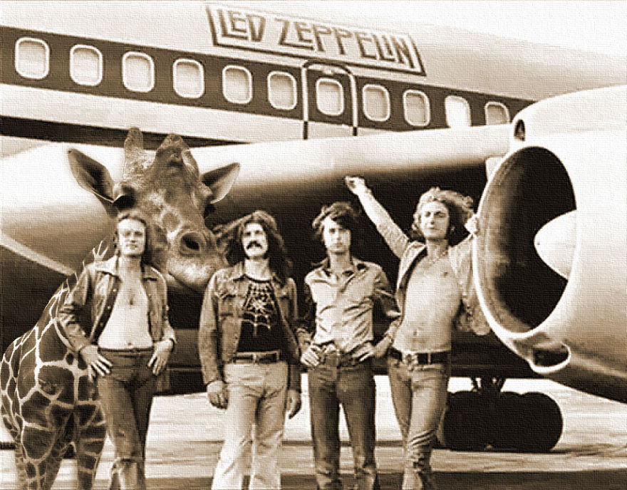 The Led Zeppelin Groupie Giraffe
