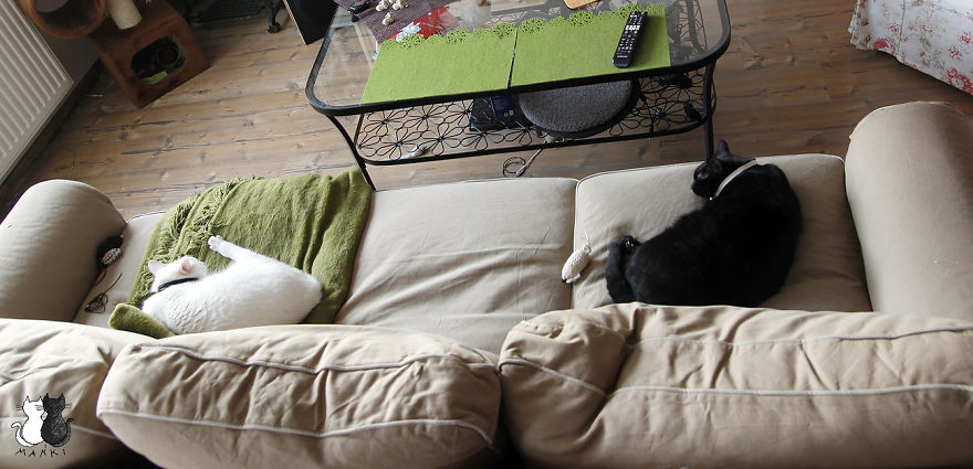 Happy Kitty, Sleepy Kitty,
Purr, Purr, Purr