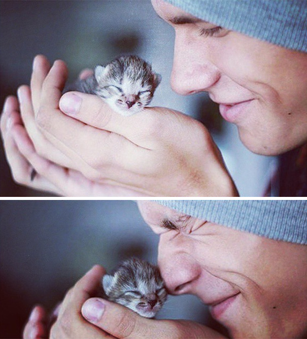Hot Dudes With Kittens