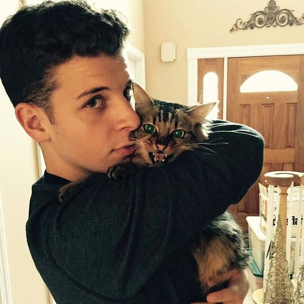 Hot Dudes With Kittens