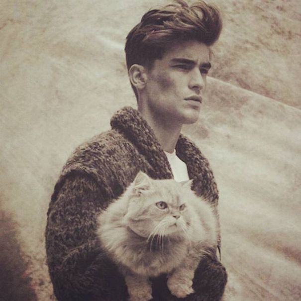 Hot Dudes With Kittens