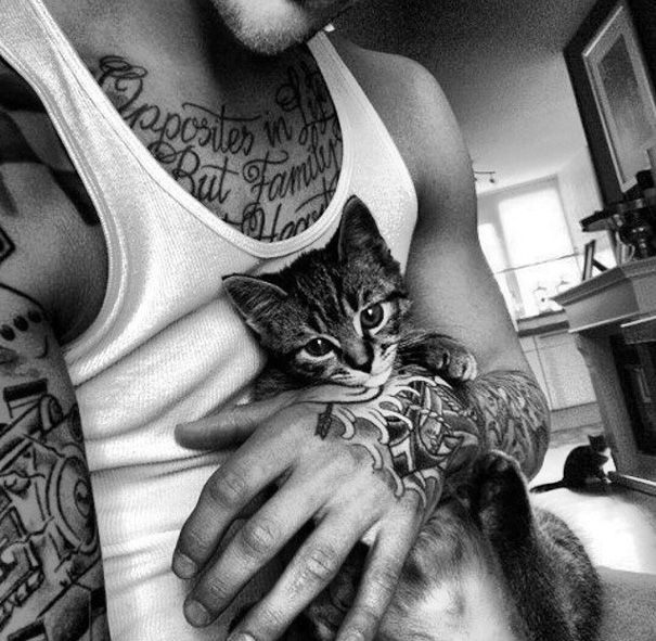 Hot Dudes With Kittens