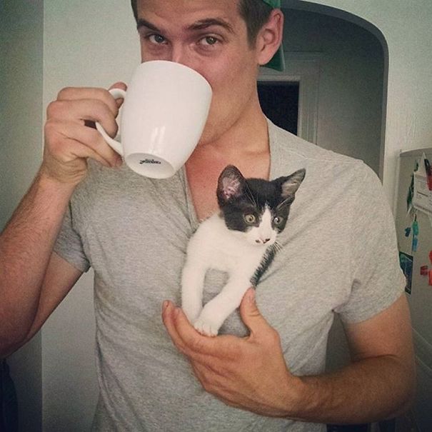 Hot Dudes With Kittens