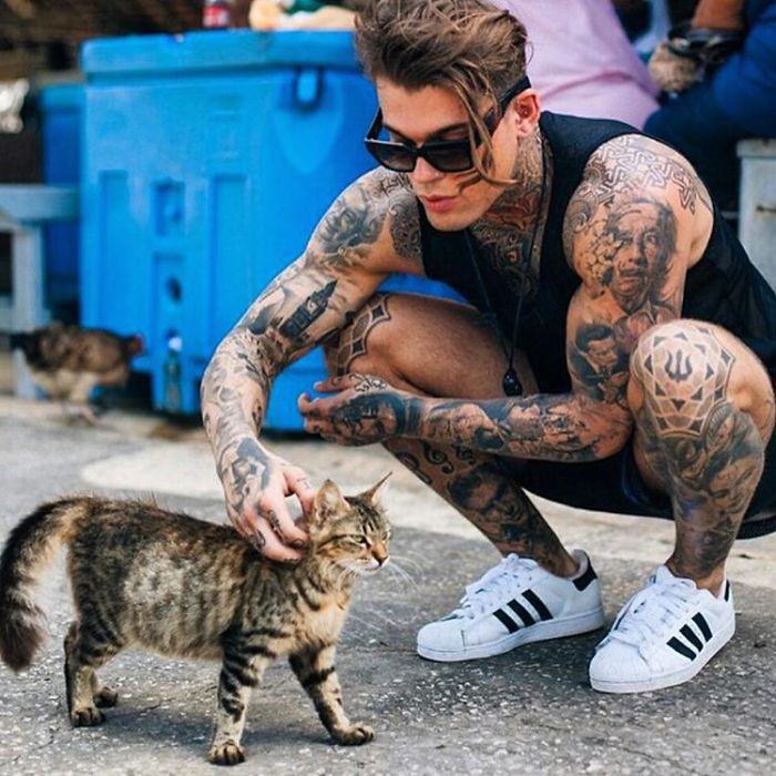 Hot Dudes With Kittens.