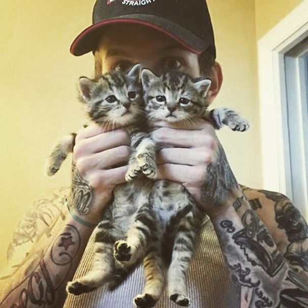 Hot Dudes With Kittens