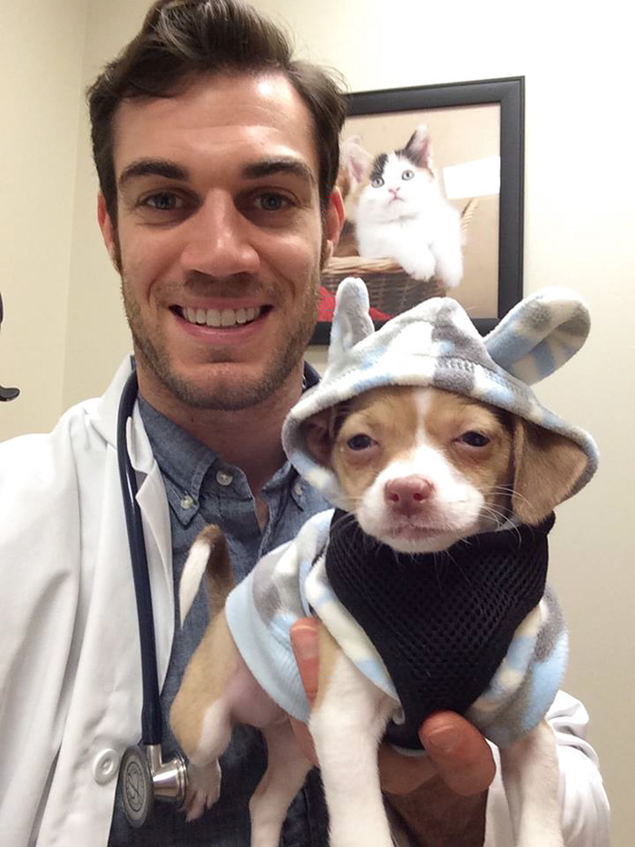 Hottest Veterinarian