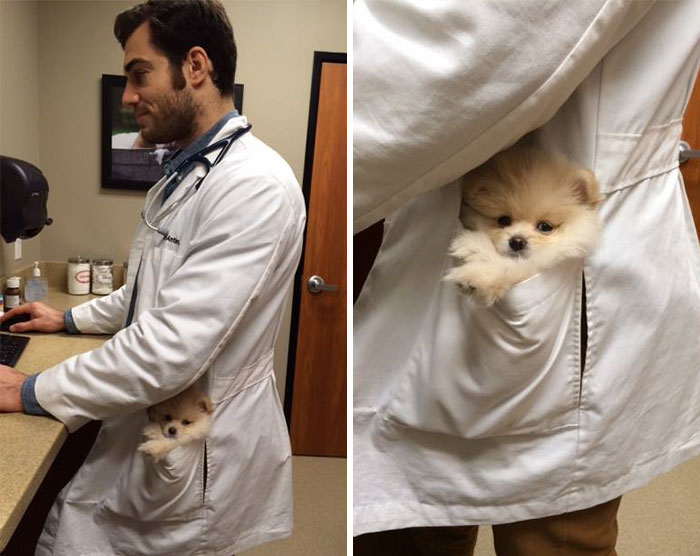 Hottest Veterinarian