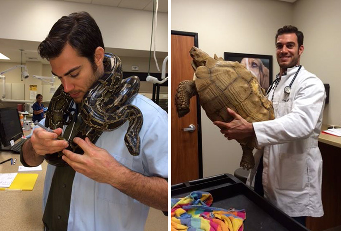 Hottest Veterinarian