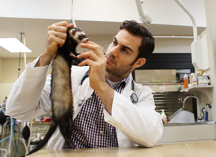 Hottest Veterinarian