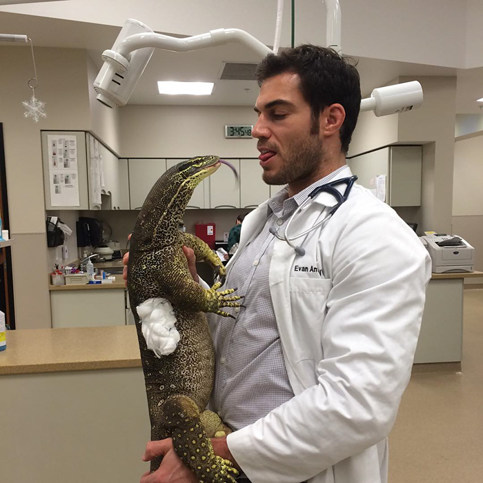 Hottest Veterinarian
