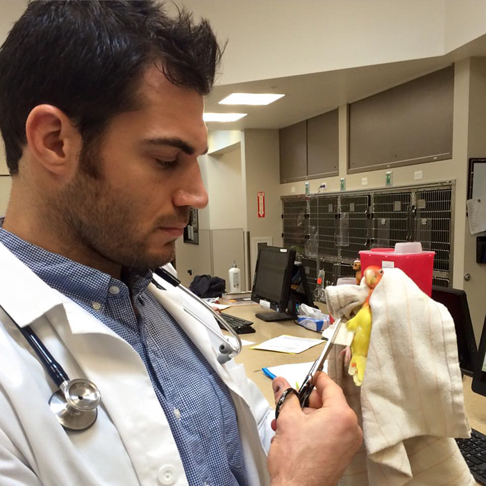 Hottest Veterinarian