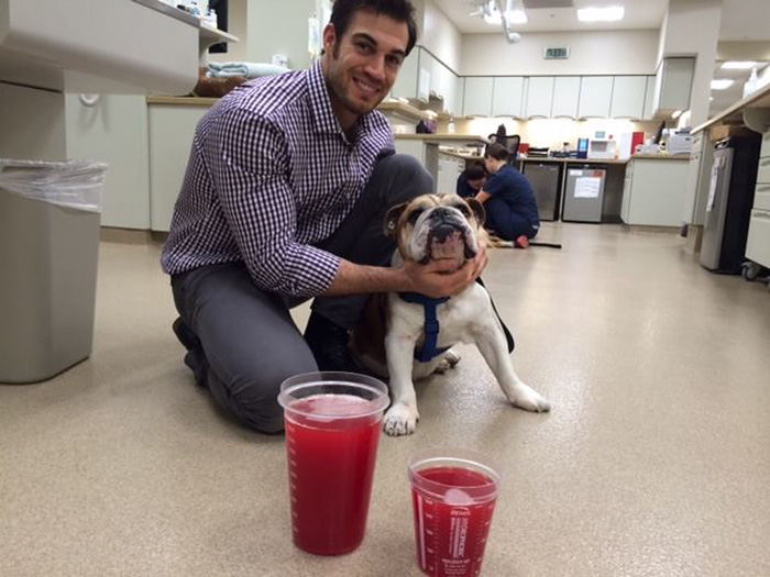 Hottest Veterinarian