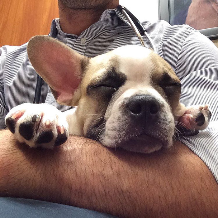 Hottest Veterinarian