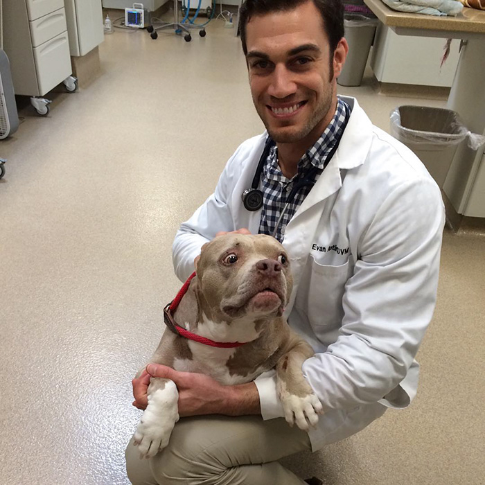 Hottest Veterinarian