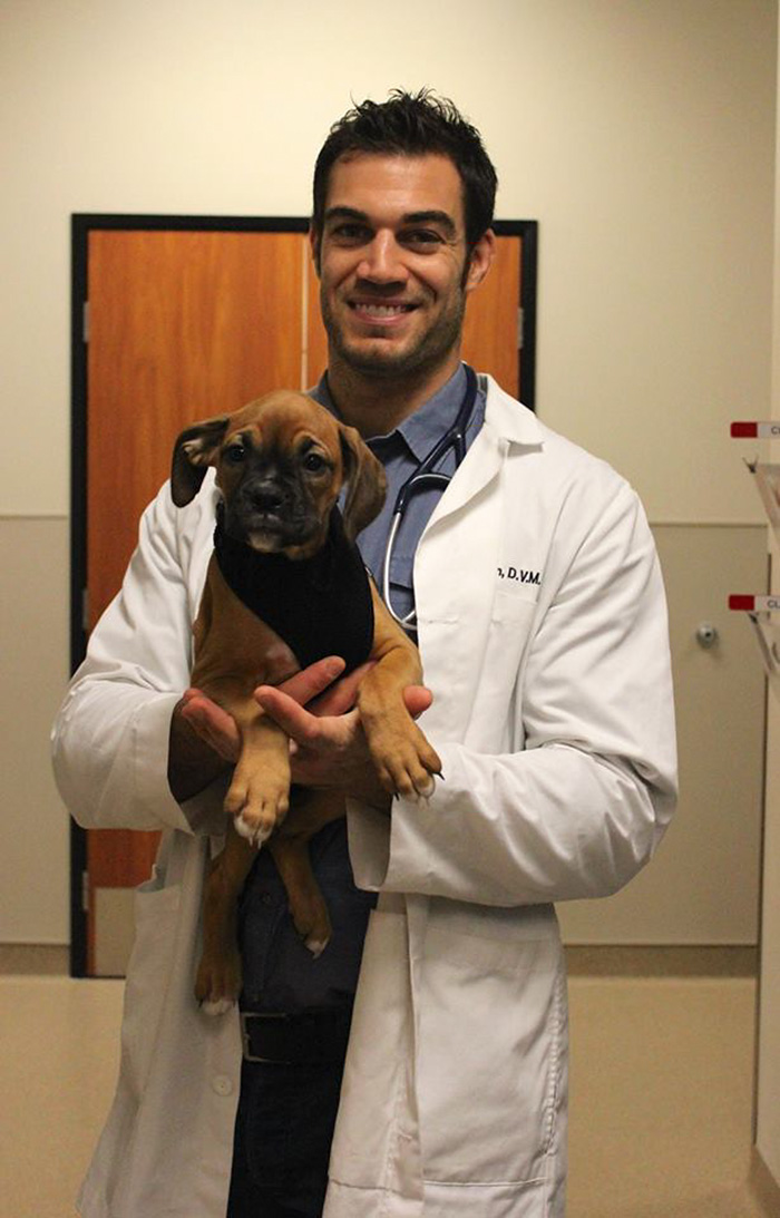 Hottest Veterinarian