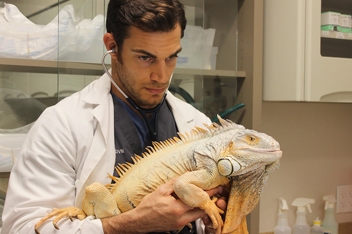 Hottest Veterinarian