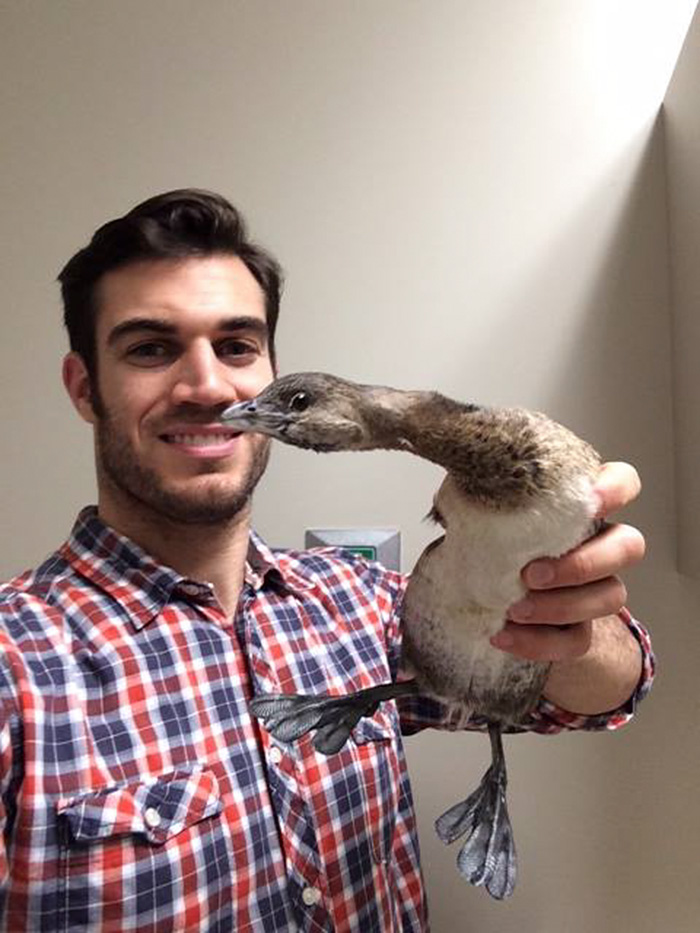 Hottest Veterinarian