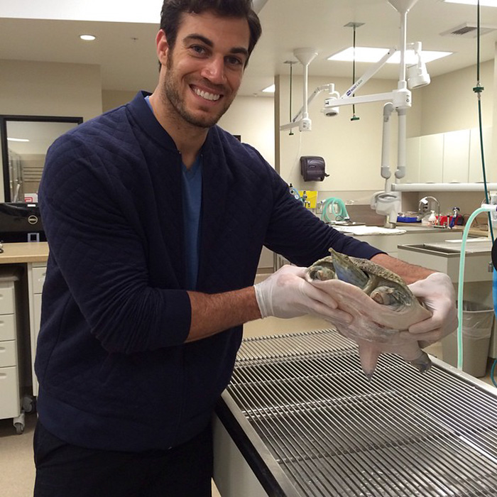 Hottest Veterinarian