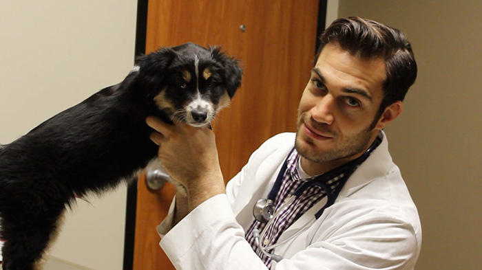 Hottest Veterinarian