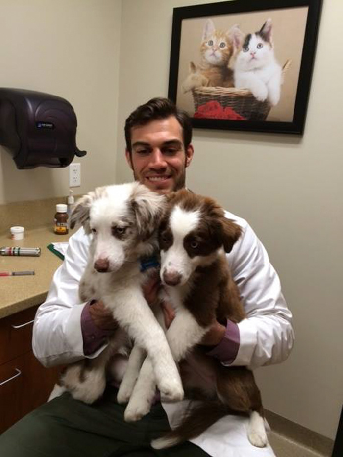 Hottest Veterinarian