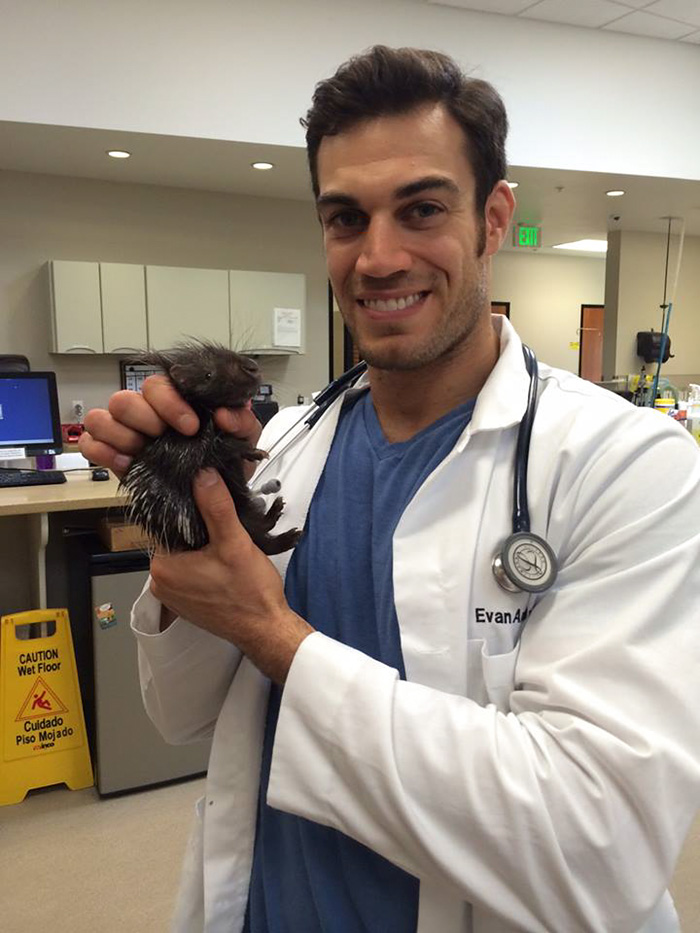Hottest Veterinarian