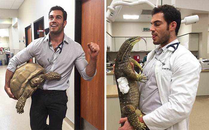 The Hottest Animal Doctor Ever That’ll Make You Want To Get Your Pet Checked