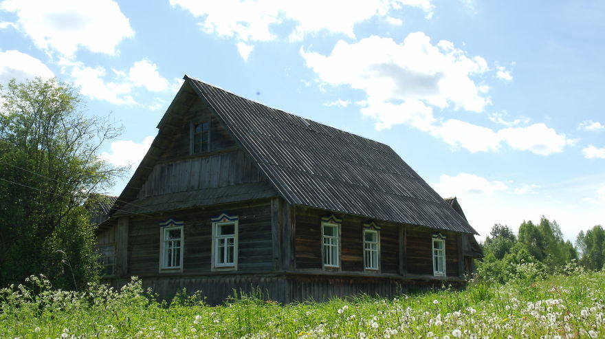 How I As French Man Ended Up Volunteering At A Wolf Sanctuary In Russia How I As French Man Ended Up Volunteering At A Wolf Sanctuary In Russia