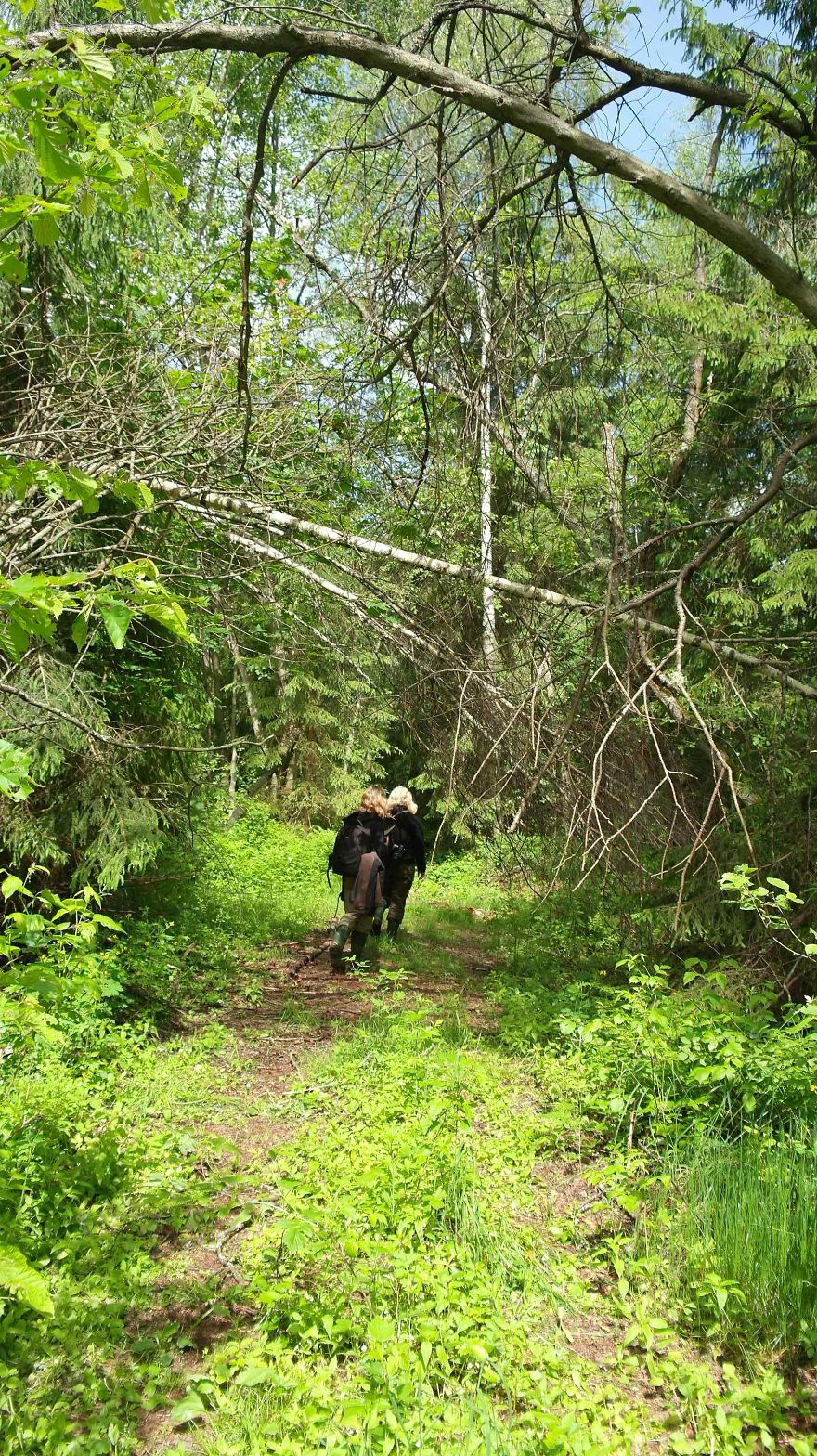 How I As French Man Ended Up Volunteering At A Wolf Sanctuary In Russia How I As French Man Ended Up Volunteering At A Wolf Sanctuary In Russia