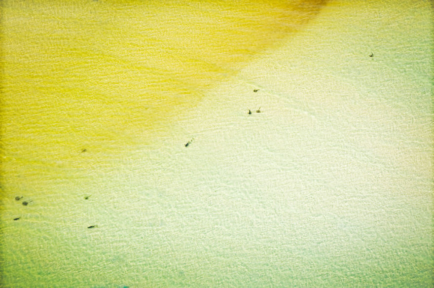 I Captured Breathtaking Sea And Sand Patterns From A Helicopter (Can You Find The Hidden Dolphin?) I Captured Breathtaking Sea And Sand Patterns From A Helicopter (Can You Find The Hidden Dolphin?)