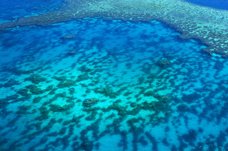 I Captured Breathtaking Sea And Sand Patterns From A Helicopter (Can You Find The Hidden Dolphin?) I Captured Breathtaking Sea And Sand Patterns From A Helicopter (Can You Find The Hidden Dolphin?)