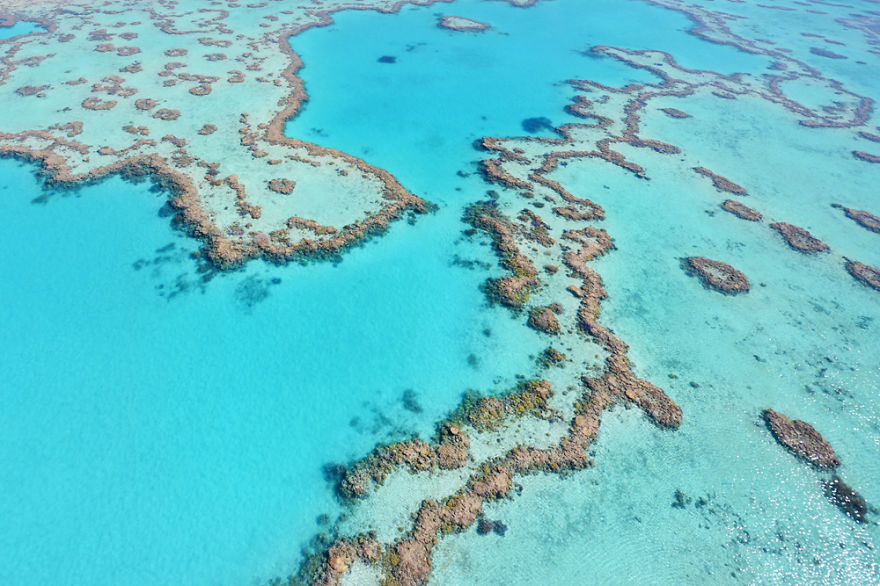 I Captured Breathtaking Sea And Sand Patterns From A Helicopter (Can You Find The Hidden Dolphin?) I Captured Breathtaking Sea And Sand Patterns From A Helicopter (Can You Find The Hidden Dolphin?)