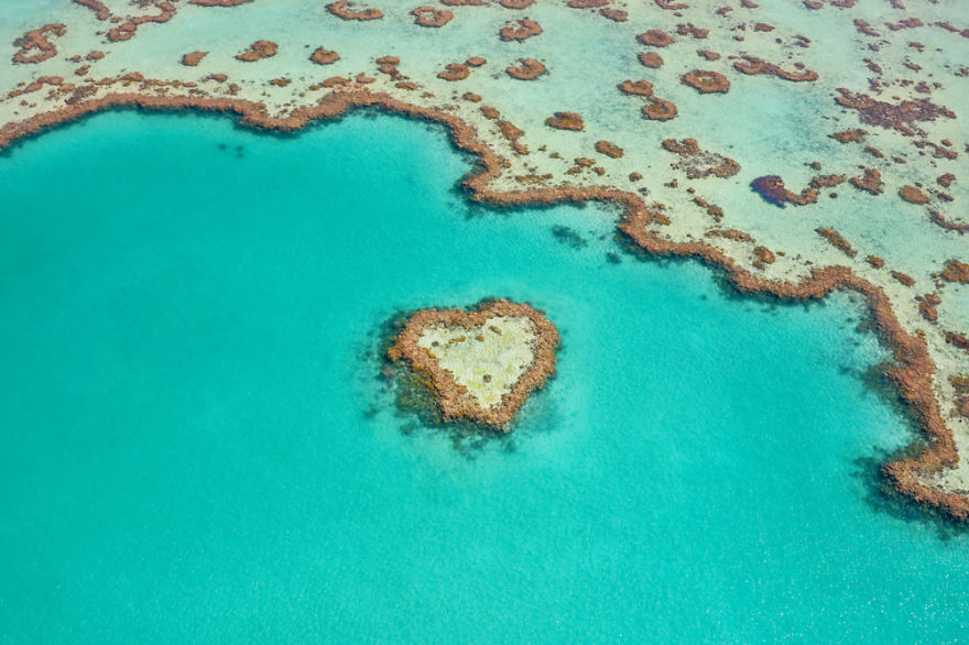 I Captured Breathtaking Sea And Sand Patterns From A Helicopter (Can You Find The Hidden Dolphin?) I Captured Breathtaking Sea And Sand Patterns From A Helicopter (Can You Find The Hidden Dolphin?)