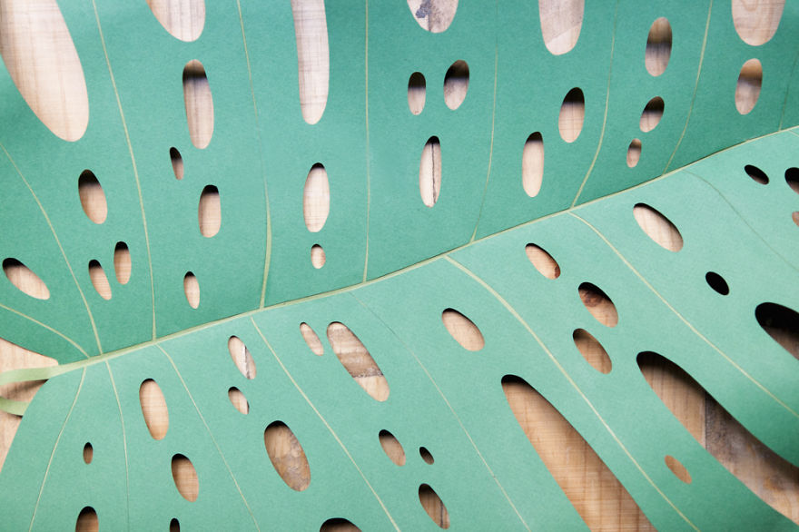 I Create Large Hand Cut Tropical Paper Leaves