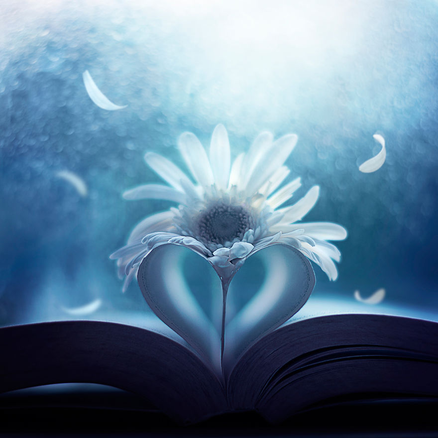 I Create Whimsical Images Using Flowers