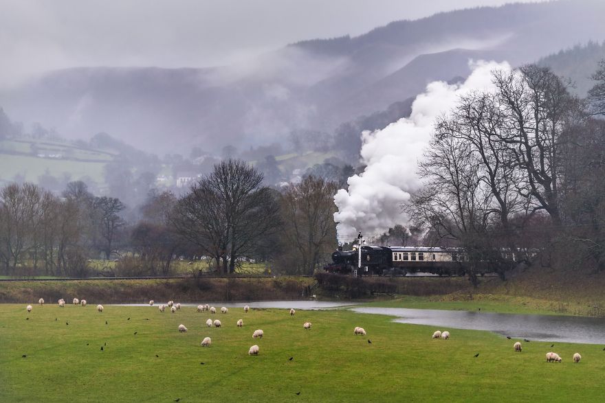 I Fell In Love With Steam Trains