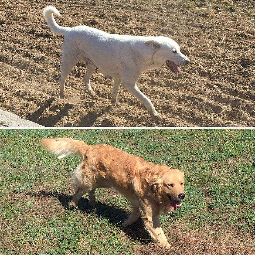 I Found My Guardian Angel While Pumpkin Picking