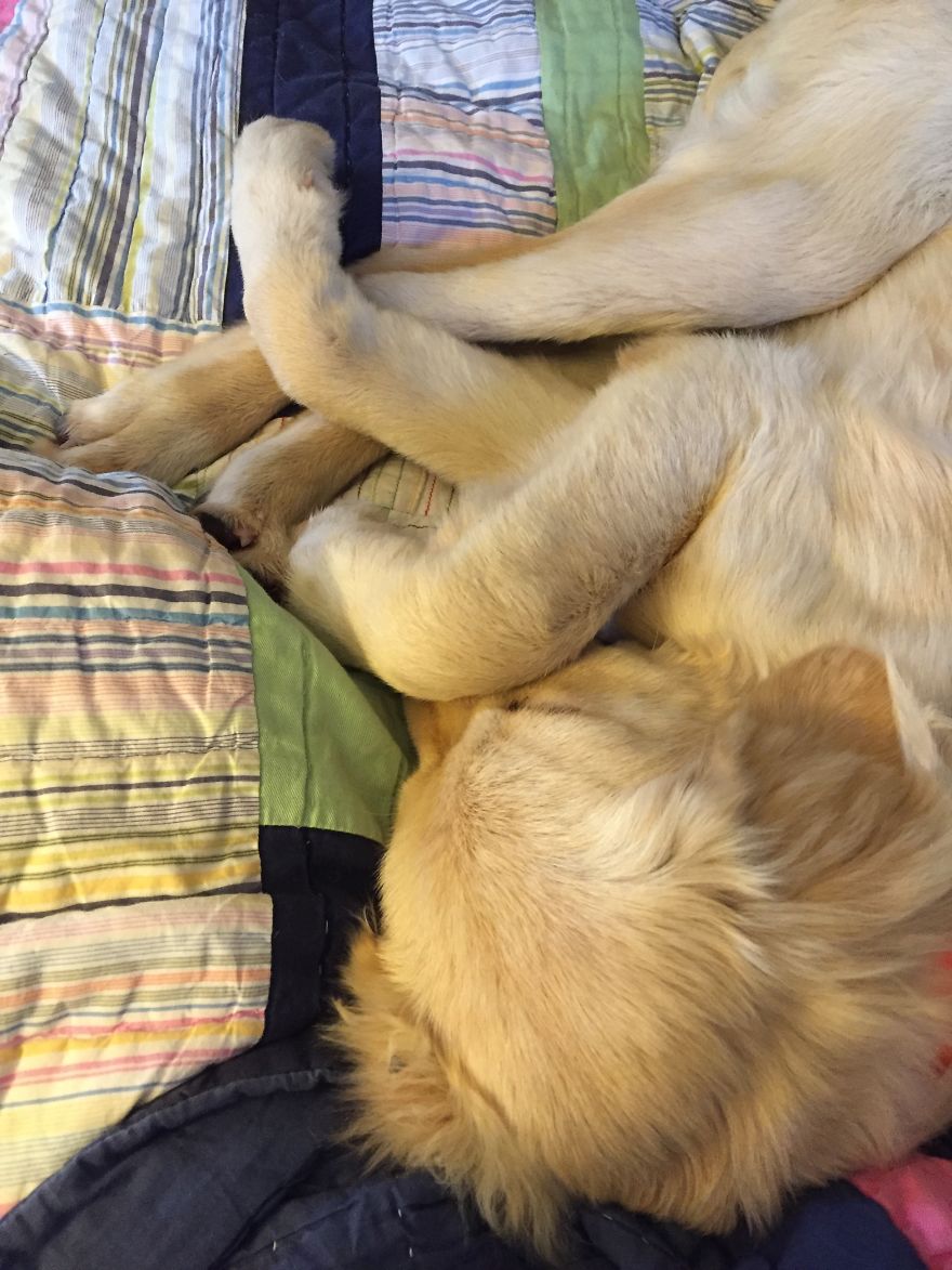 I Found My Guardian Angel While Pumpkin Picking