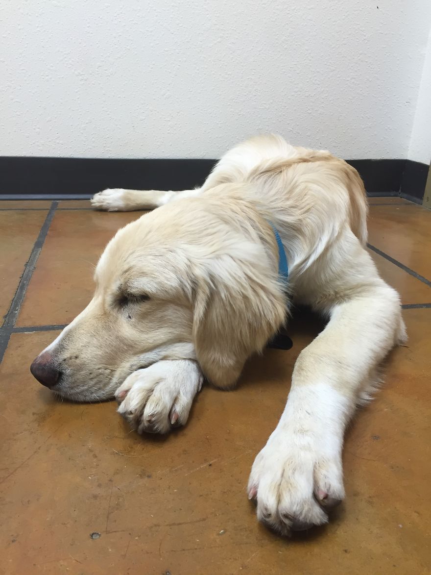 I Found My Guardian Angel While Pumpkin Picking