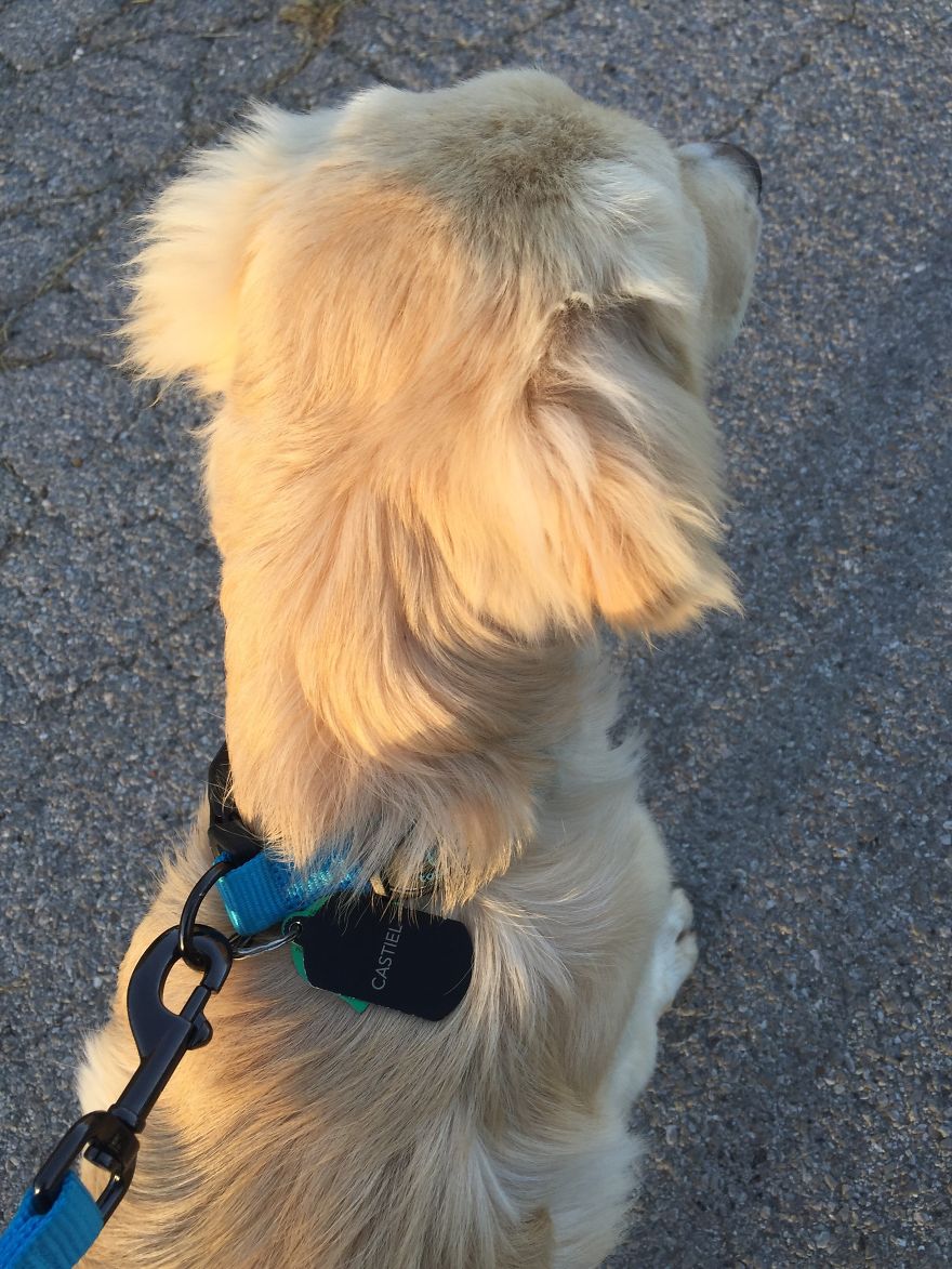 I Found My Guardian Angel While Pumpkin Picking