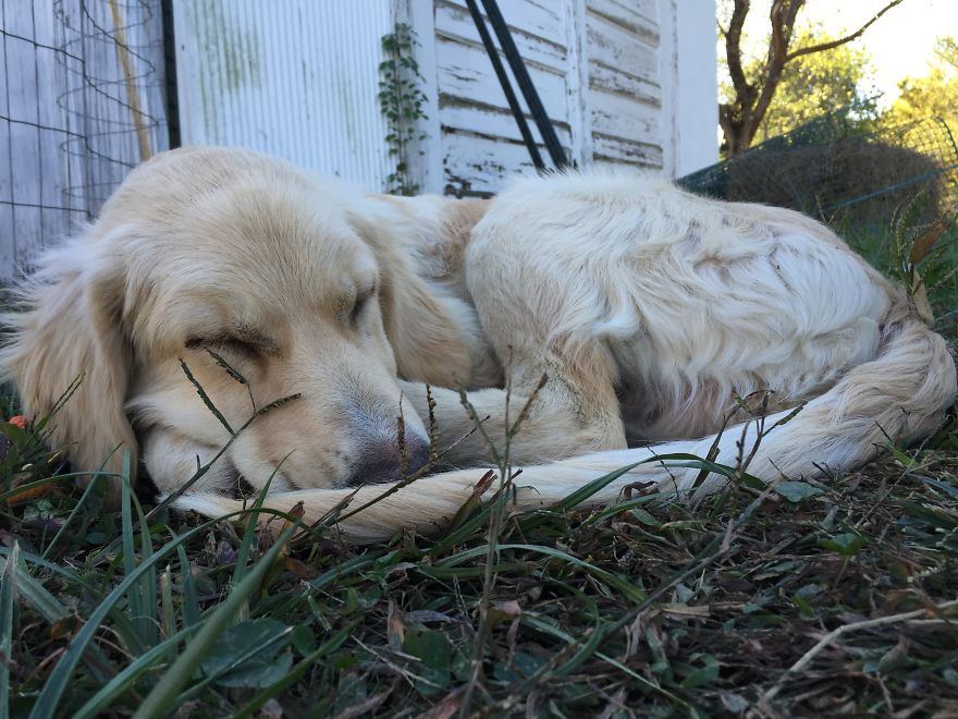 I Found My Guardian Angel While Pumpkin Picking I Found My Guardian Angel While Pumpkin Picking