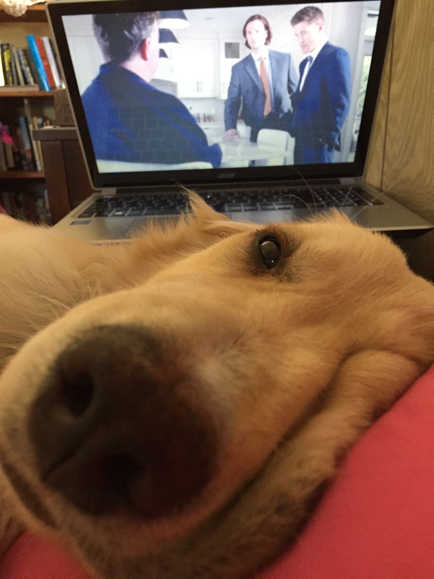 I Found My Guardian Angel While Pumpkin Picking
