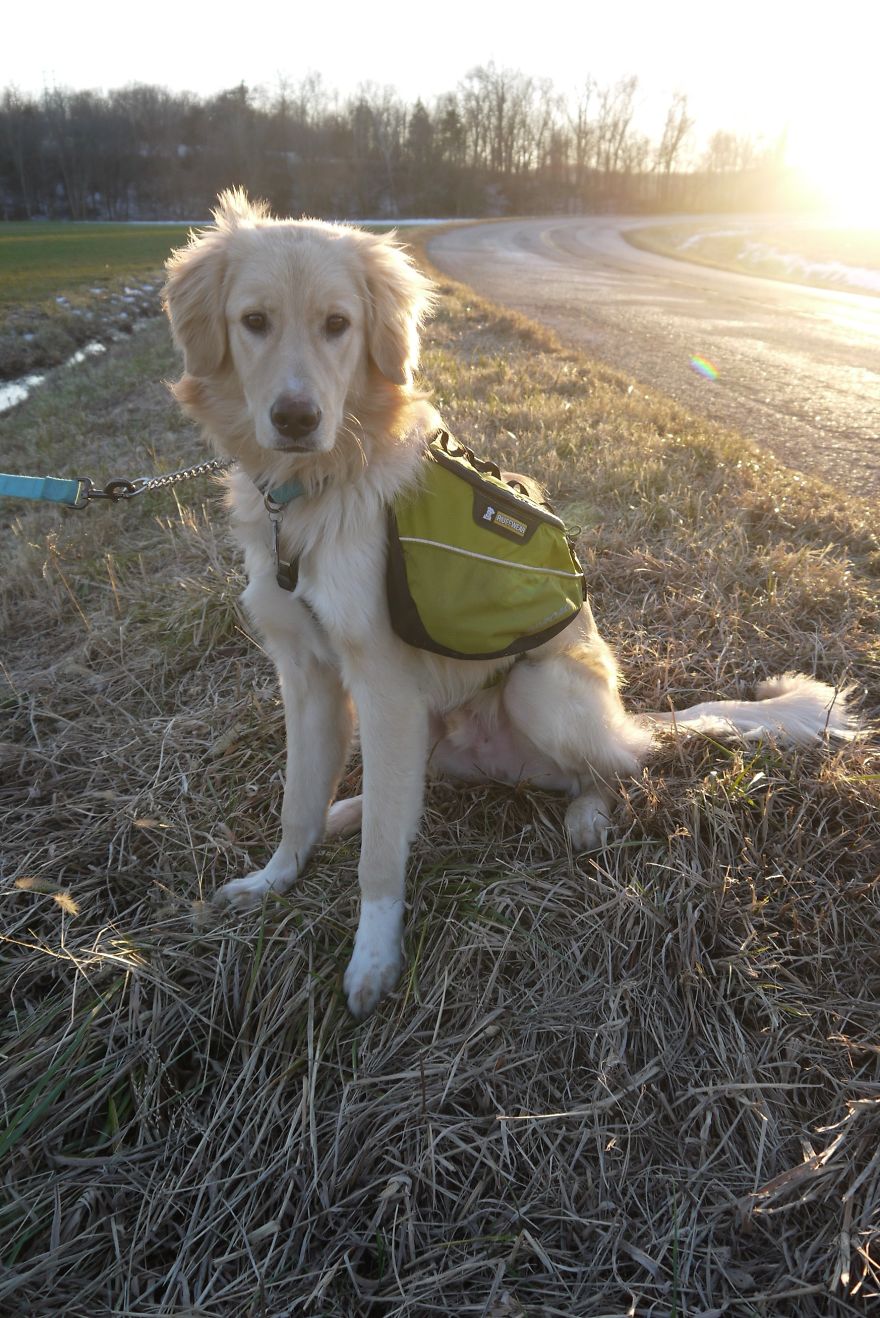 I Found My Guardian Angel While Pumpkin Picking