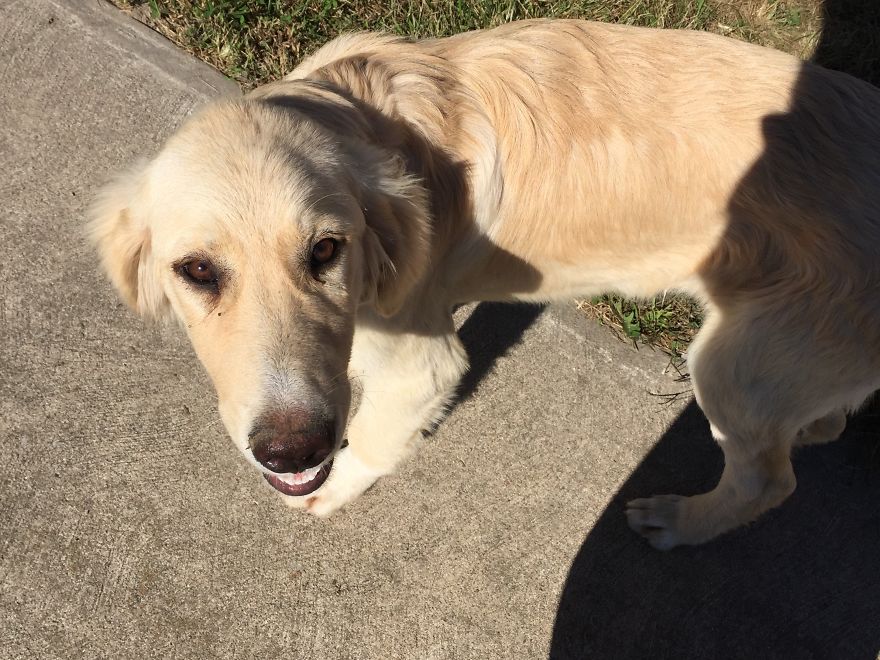I Found My Guardian Angel While Pumpkin Picking I Found My Guardian Angel While Pumpkin Picking