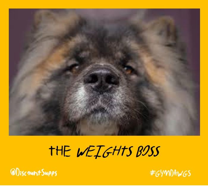 I Got Stick From These Dawgs For Joining The Gym This January