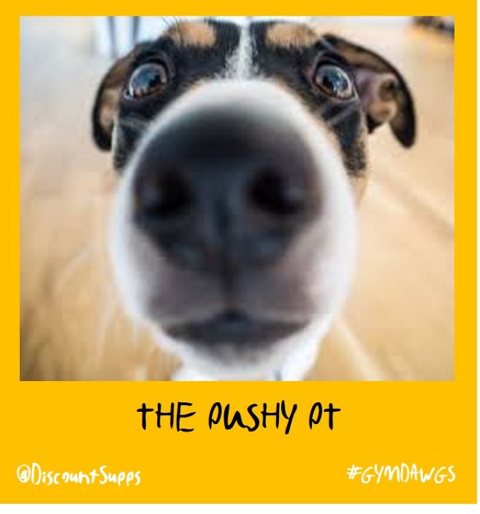 I Got Stick From These Dawgs For Joining The Gym This January I Got Stick From These Dawgs For Joining The Gym This January